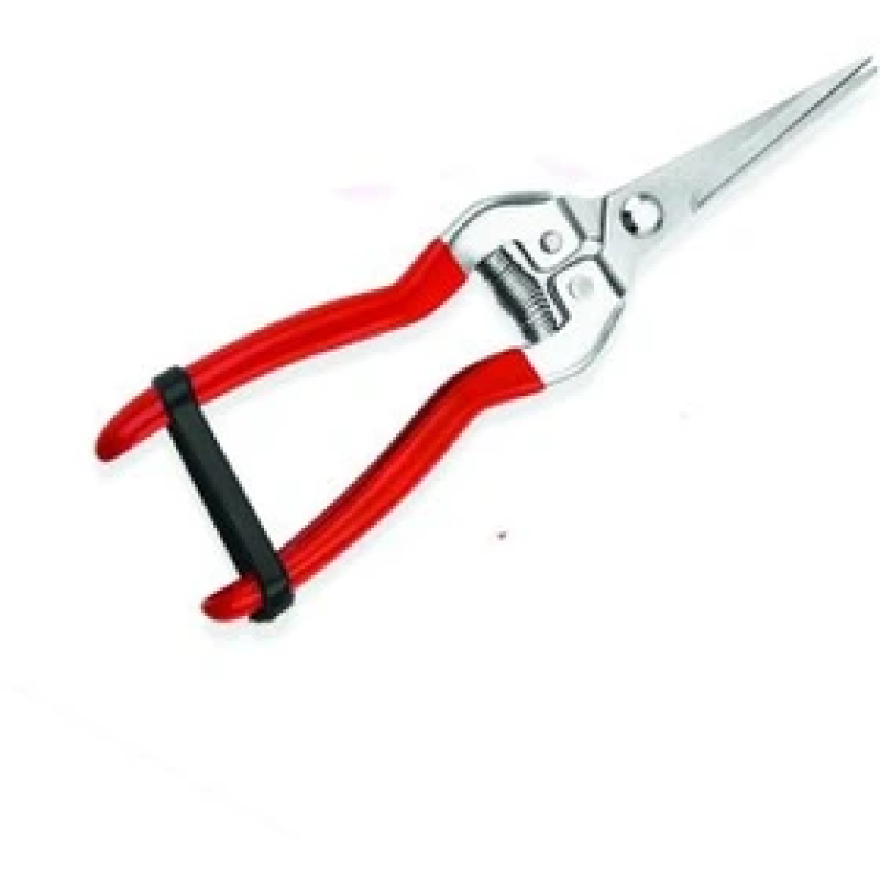 قیچی میوه چین موبینس 